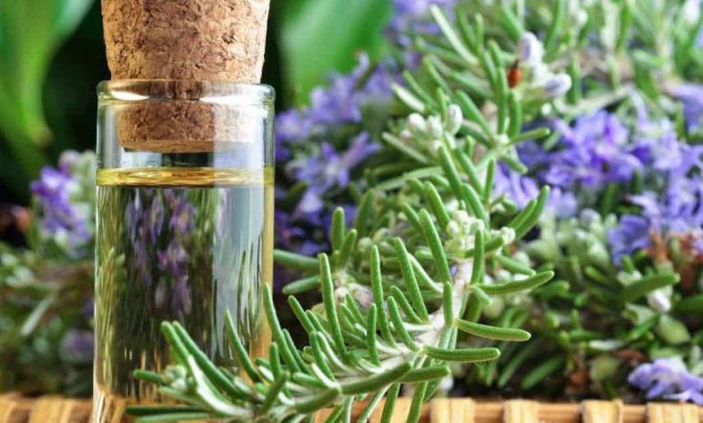 olio di rosmarino