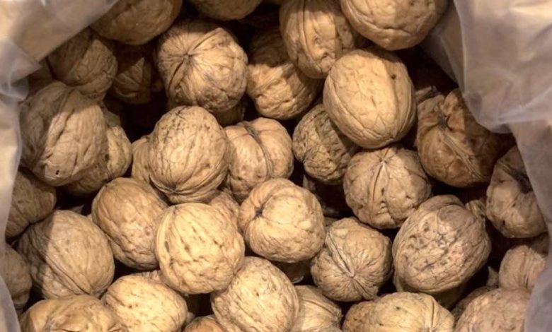 I benefici delle noci