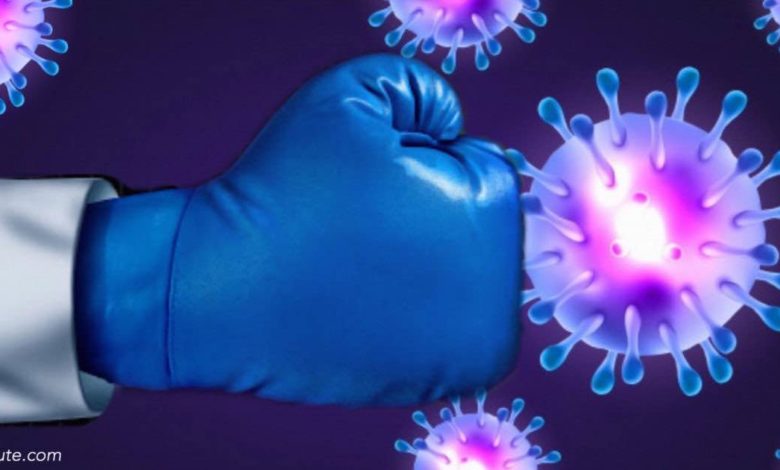 Rinforzare il sistema immunitario. Rimedi e strategie