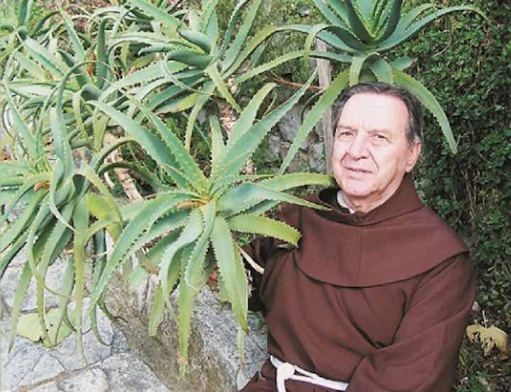 Aloe Arborescens Padre Romano Zago