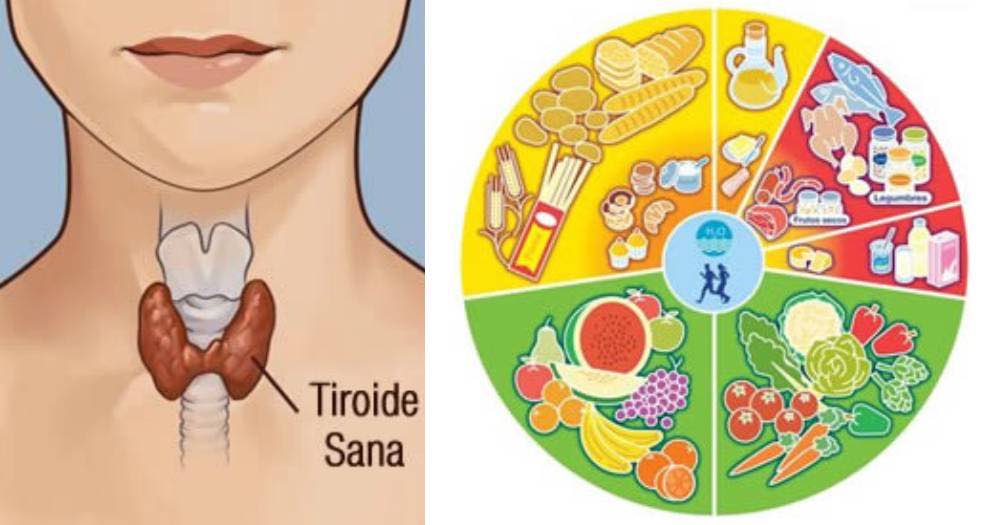 Tiroide lenta, i cibi che aiutano a riattivarla in modo efficace