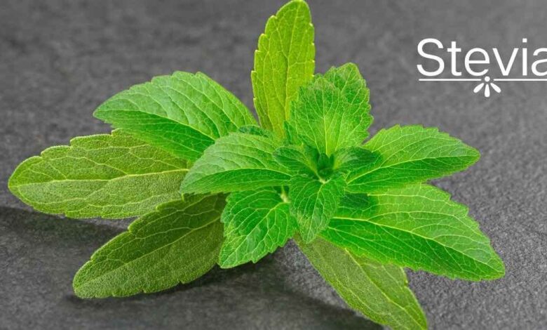 Stevia: il dolcificante naturale