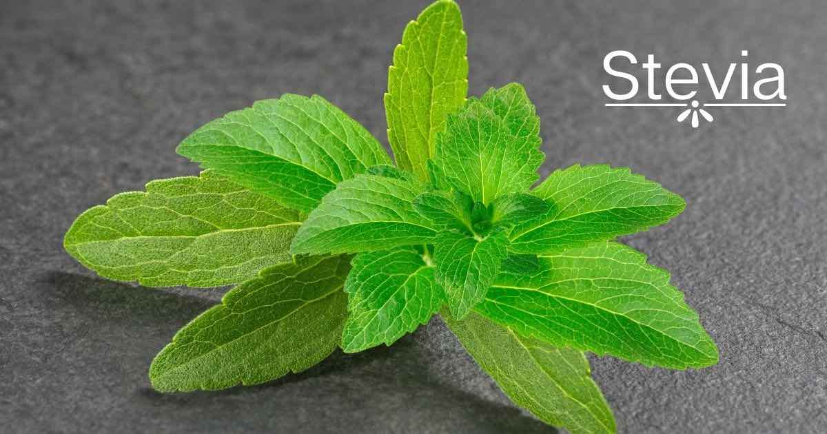 Stevia: il dolcificante naturale