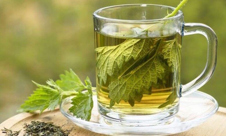 Tisane ricche di ferro