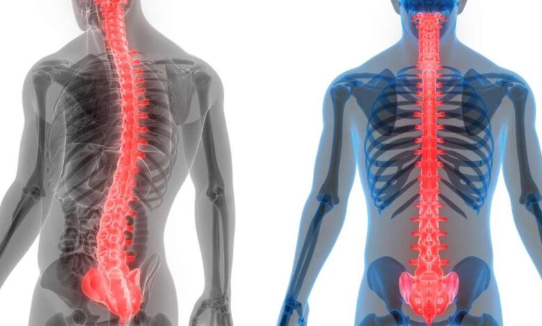 allineare tutta la colonna vertebrale