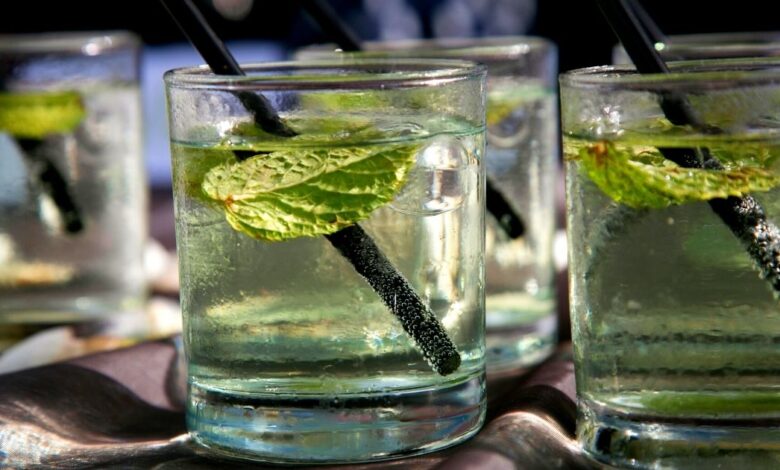 Acqua di menta