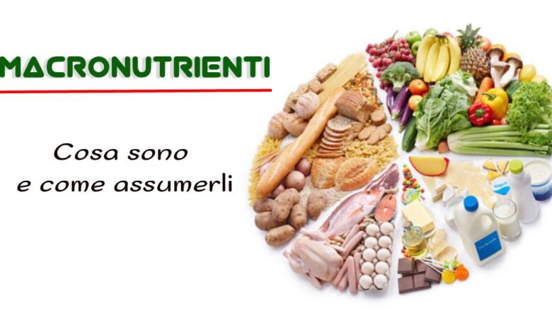 Che cosa sono i macronutrienti