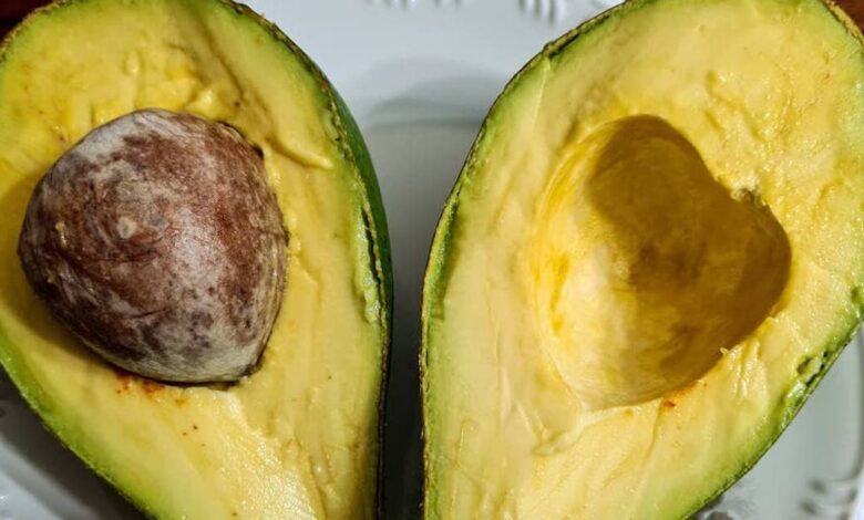 Avocado i buoni motivi per mangiare questo frutto