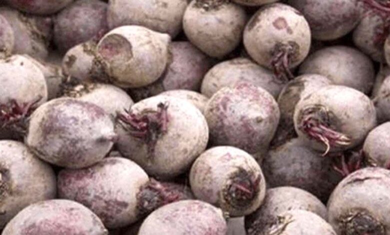 I benefici della barbabietola