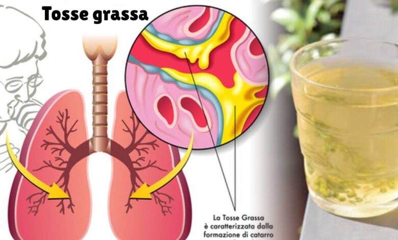 Infuso di tasso barbasso
