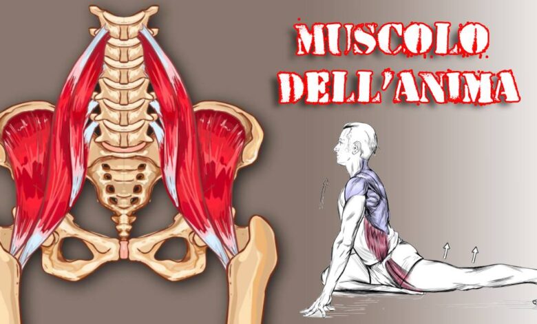 Muscolo dell’anima