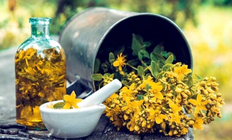 Olio di iperico, un potente antinfiammatorio e antibatterico