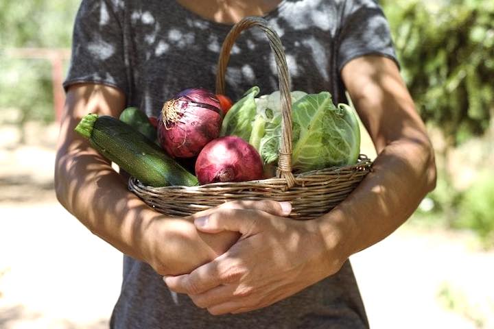 Dare priorità al cibo sano- frutta e verdura