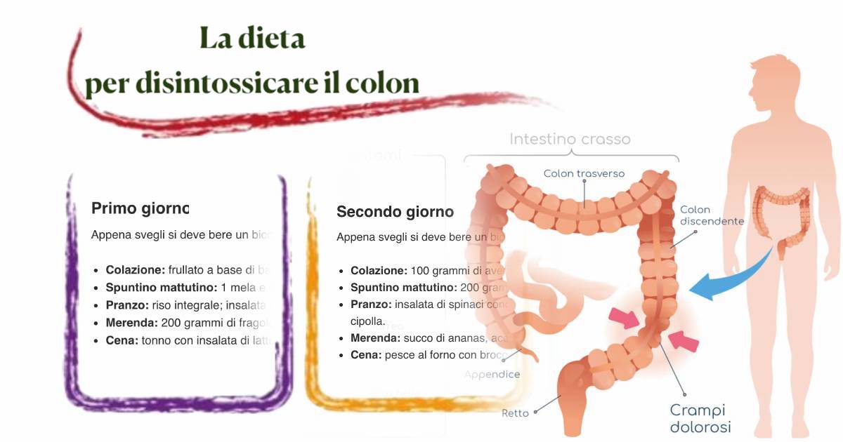 La dieta per disintossicare il colon (1)