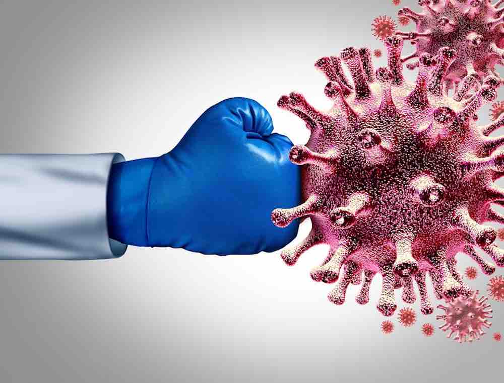 Anticorpi Covid, quanto dura la risposta immunitaria