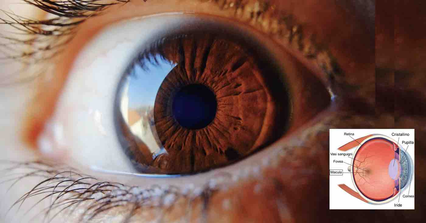 Come riconoscere il rischio di morte prematura dagli occhi