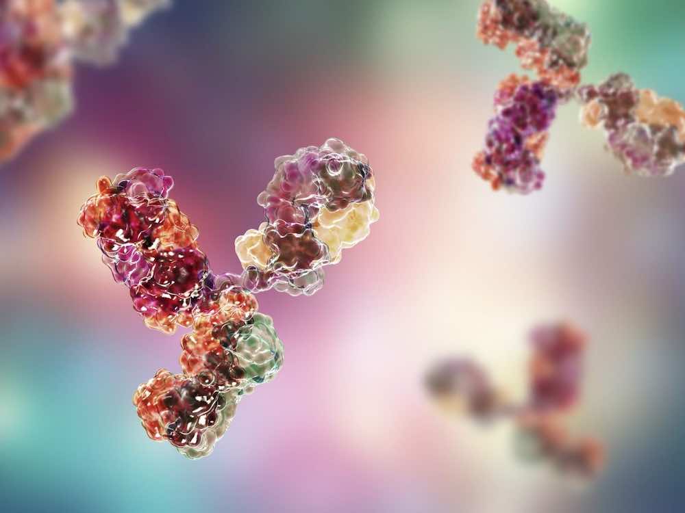 cancro al colon anticorpo